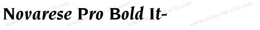 Novarese Pro Bold It字体转换